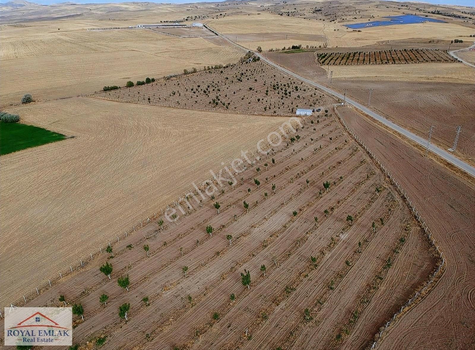 Kırıkkale Balışeyh Yatırımlık Satılık Kelepir Arsalar - Görsel 9
