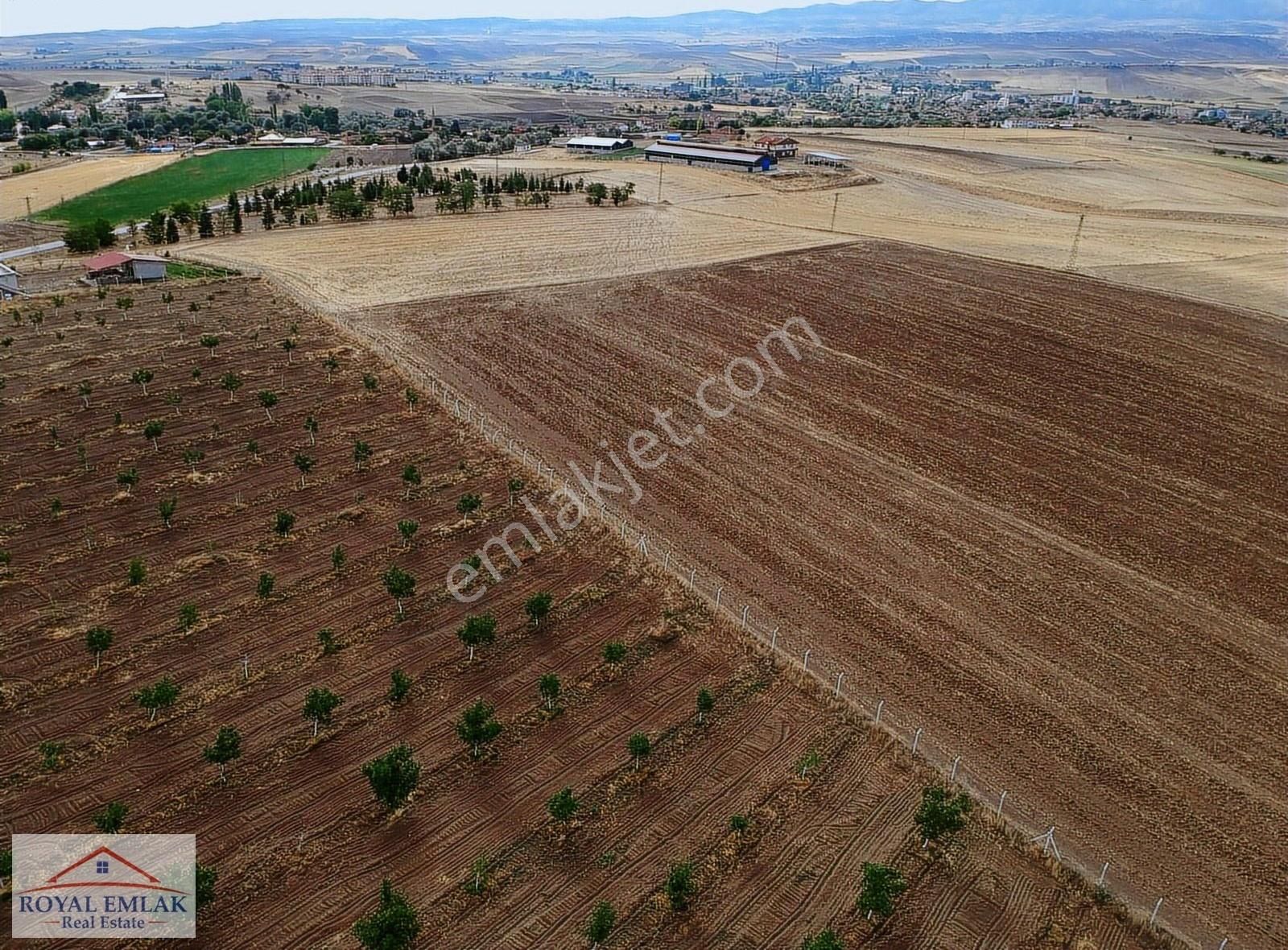 Kırıkkale Balışeyh Yatırımlık Satılık Kelepir Arsalar - Görsel 17