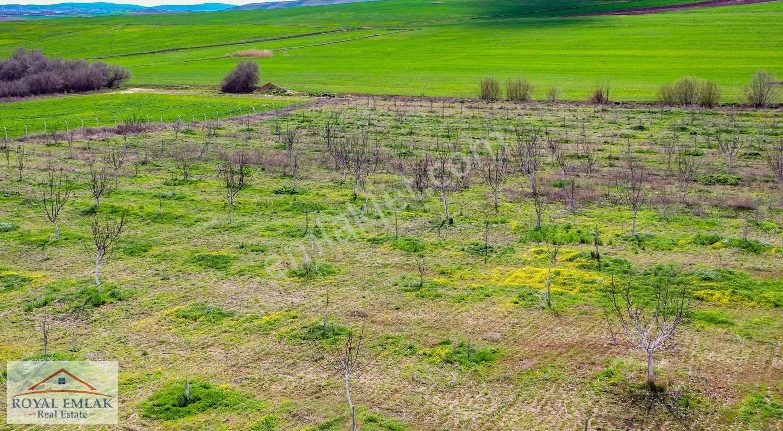 Kırıkkale Balışeyh Yatırımlık Satılık Kelepir Arsalar - Görsel 11