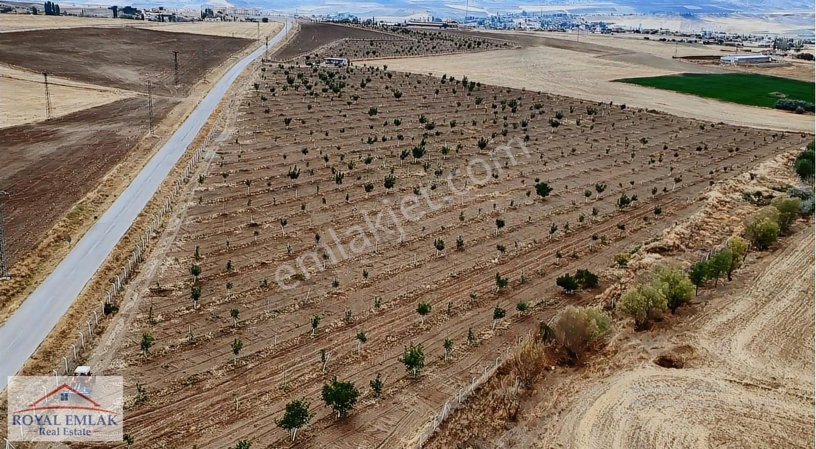 Kırıkkale Balışeyh Yatırımlık Satılık Kelepir Arsalar - Görsel 19