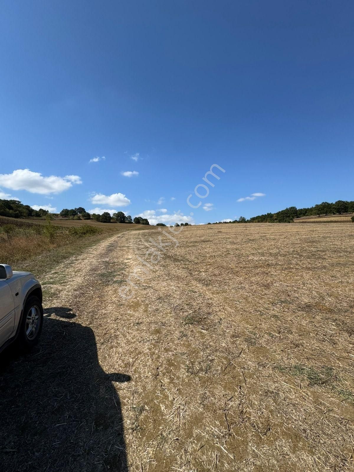 Arazi Uzmanı Recep Davutoğlu'ndan Yatırımlık Tarla - Görsel 10