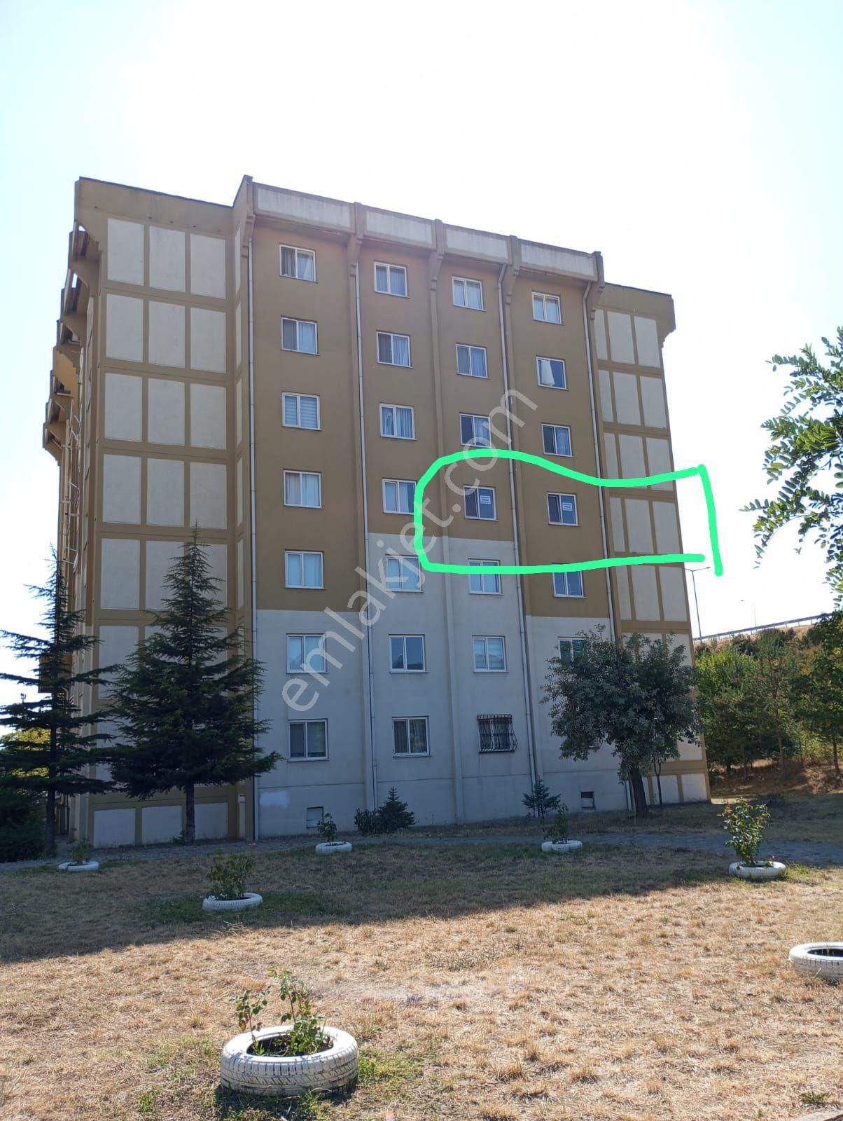 Sahibinden 3+1 Ara Kat Yeni Boyalı