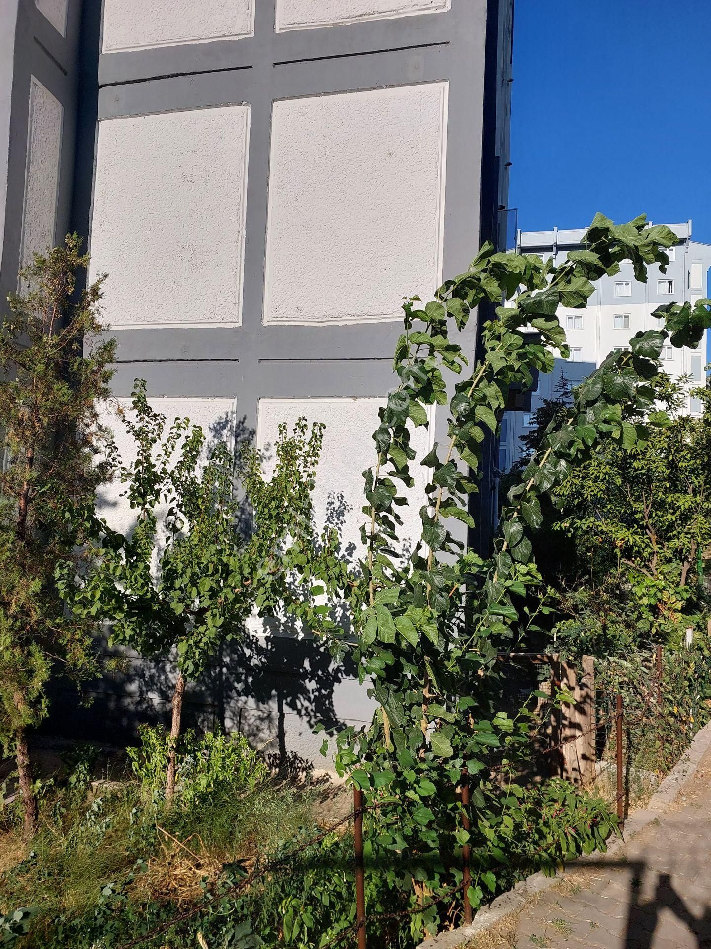 Bursa Yıldırım Yiğitler Tokide Satılık Zeninkat 3+1 120m2 Daire - Görsel 27