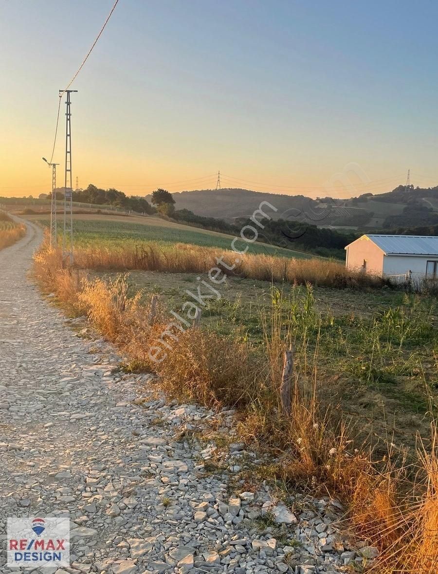 Remax Design Kaynarca Okçular'da 2.085 M2 Resmi Yollu Tarla - Görsel 10