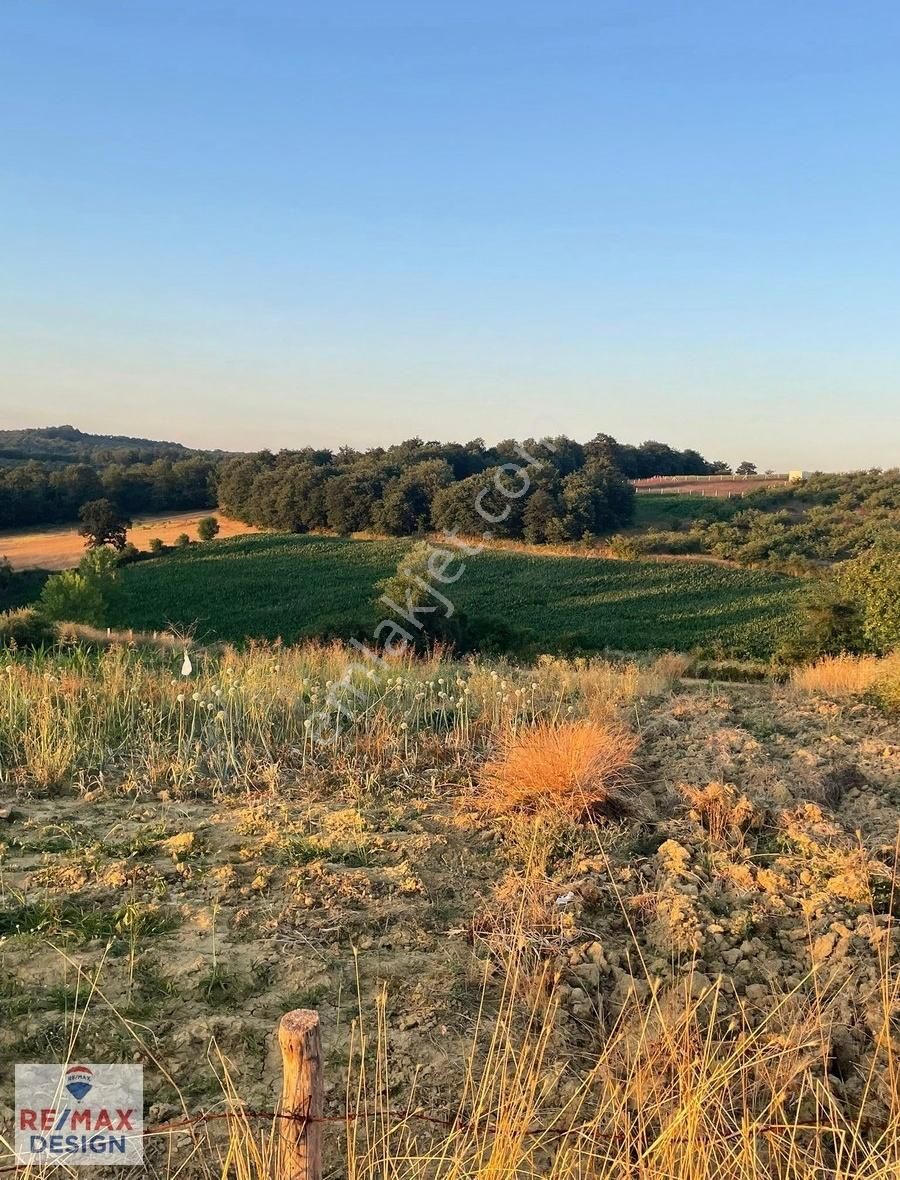 Remax Design Kaynarca Okçular'da 2.085 M2 Resmi Yollu Tarla - Görsel 9