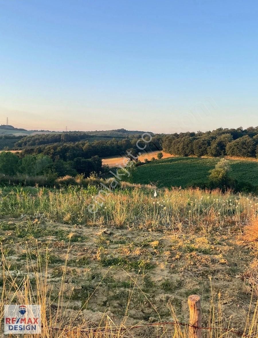 Remax Design Kaynarca Okçular'da 2.085 M2 Resmi Yollu Tarla - Görsel 8