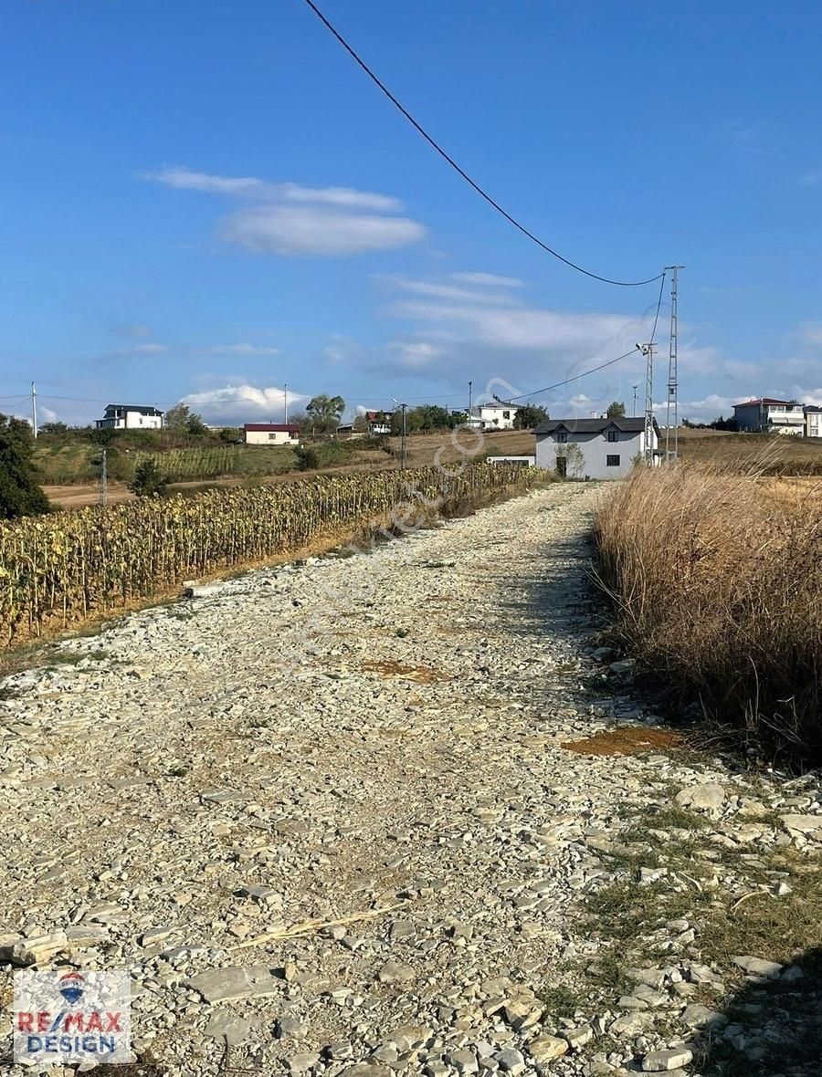 Remax Design Kaynarca Okçular'da 2.085 M2 Resmi Yollu Tarla - Görsel 3