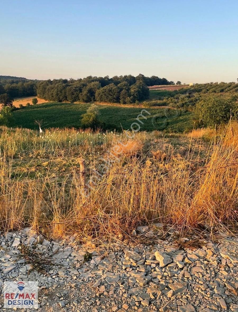 Remax Design Kaynarca Okçular'da 2.085 M2 Resmi Yollu Tarla - Görsel 7