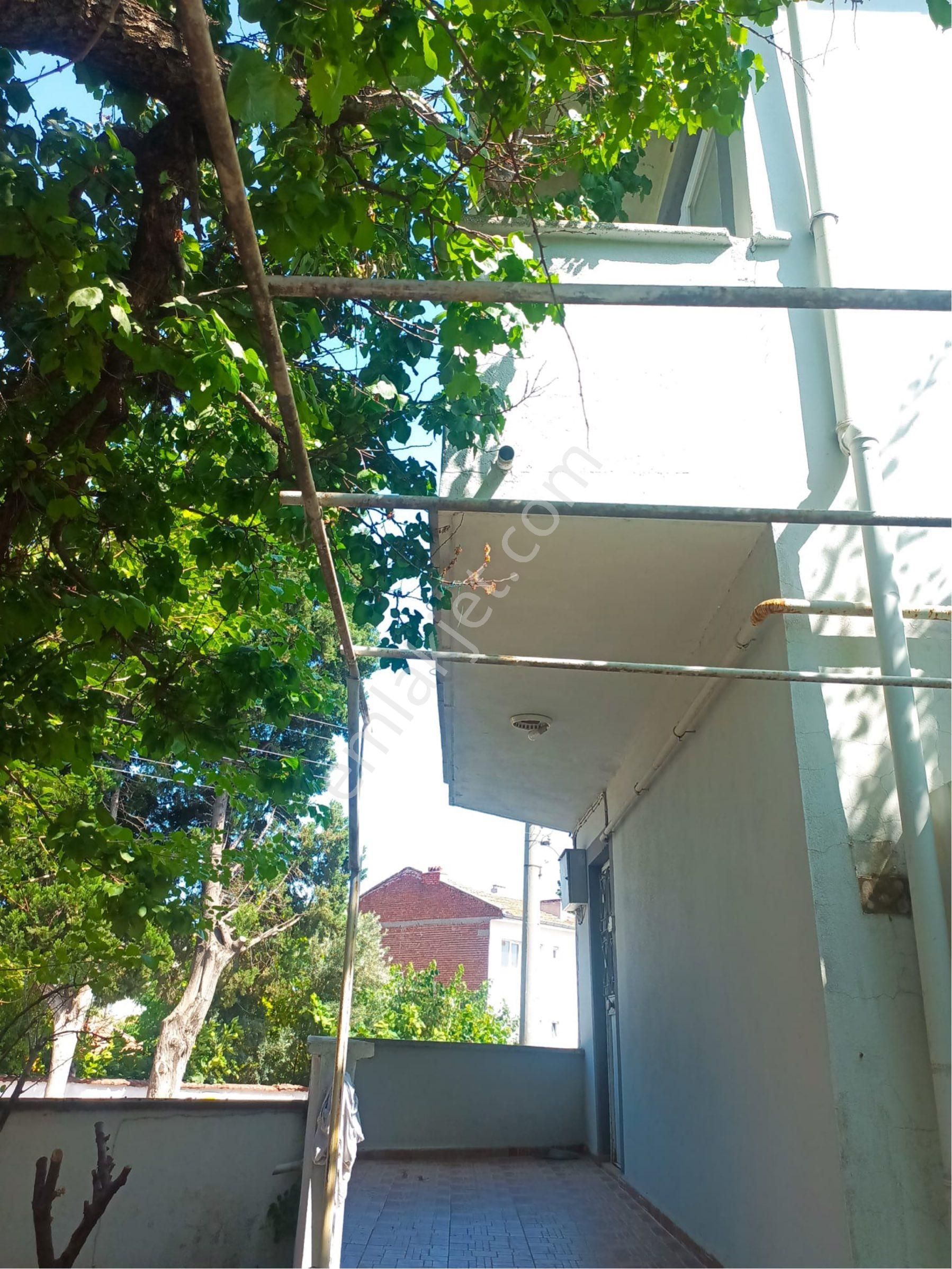 Gül Emlaktan Müstakil 2 Daire+1 Dükkan - Görsel 2