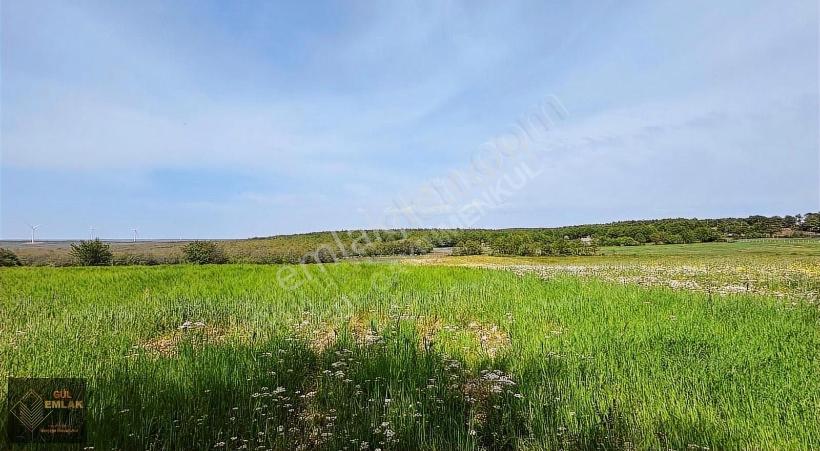 Silivri Gümüşpınar Muvafakatname Tapulu Eşsiz Özel Satılık Tarla - Görsel 3