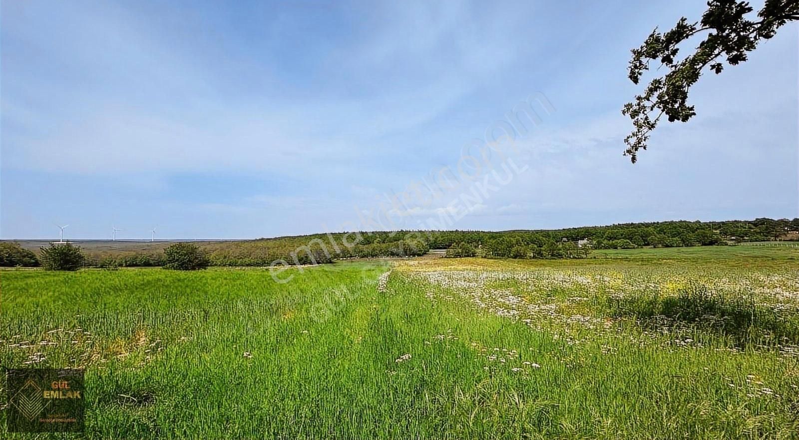 Silivri Gümüşpınar Muvafakatname Tapulu Eşsiz Özel Satılık Tarla - Görsel 4