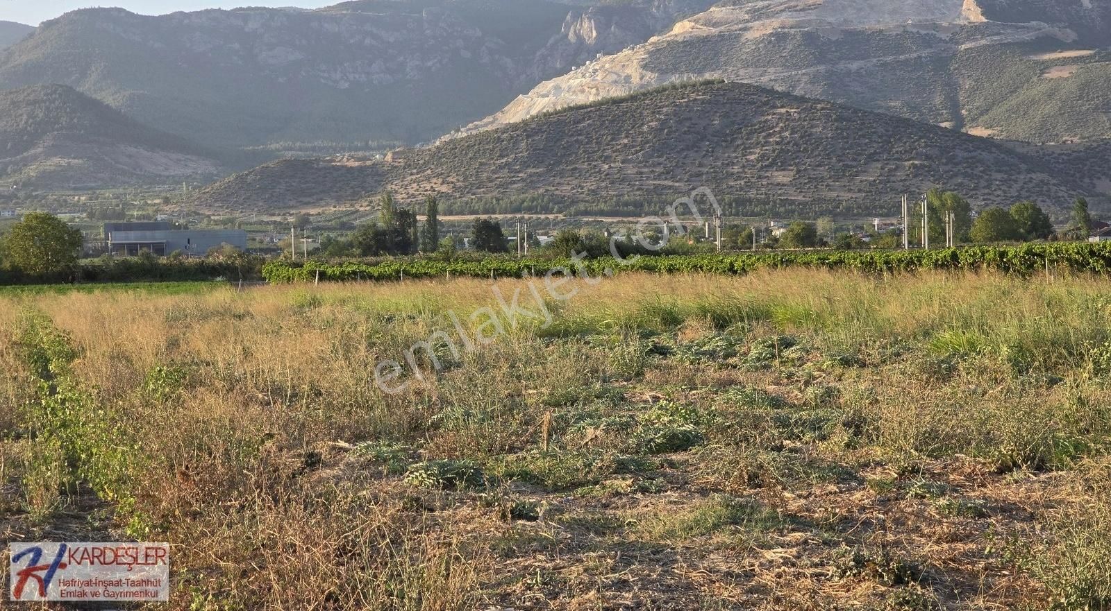 Sakarya Pamukova Çardak Mah. 4662 M2 Verimli Düz Tarla
