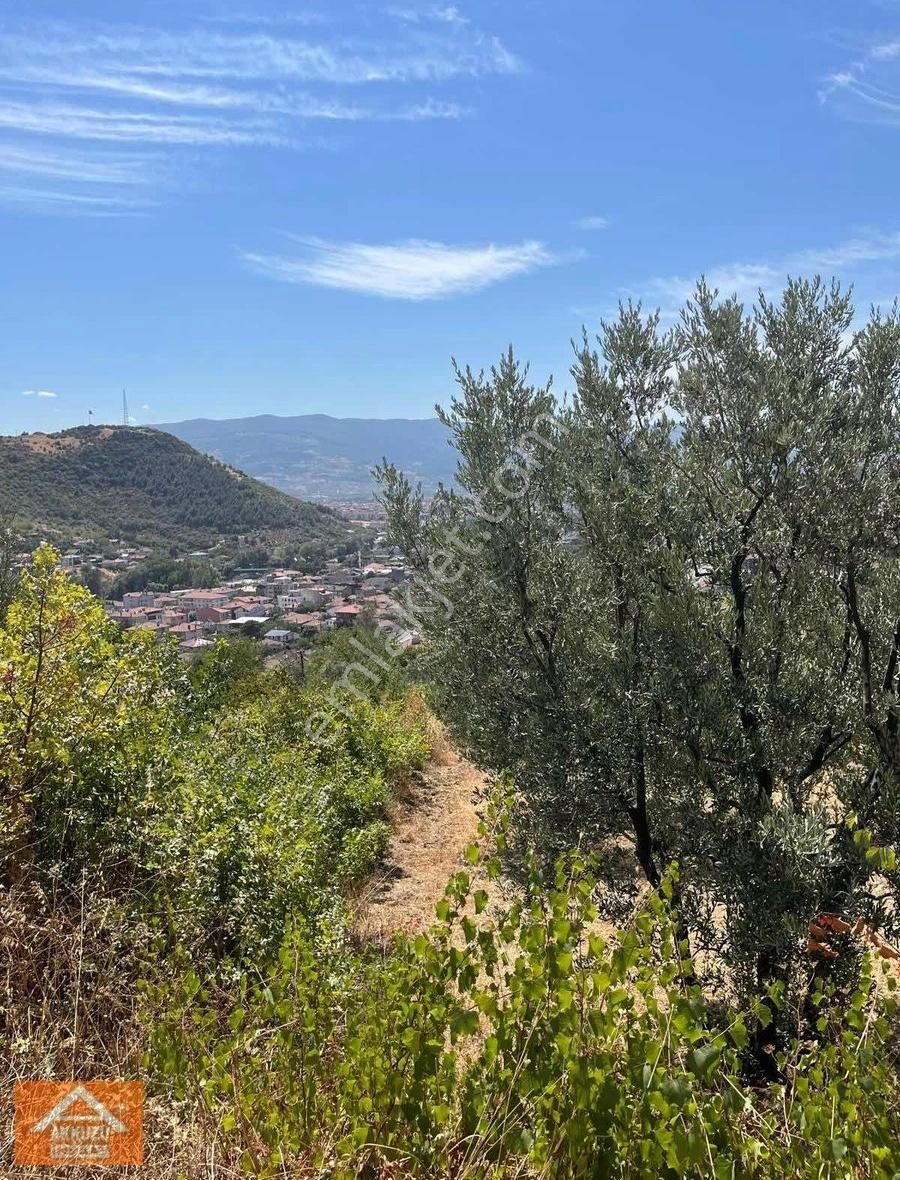 Alifuatpaşa Da 3524 M2 İmarlı Villa Yada Konut Arsası - Görsel 4