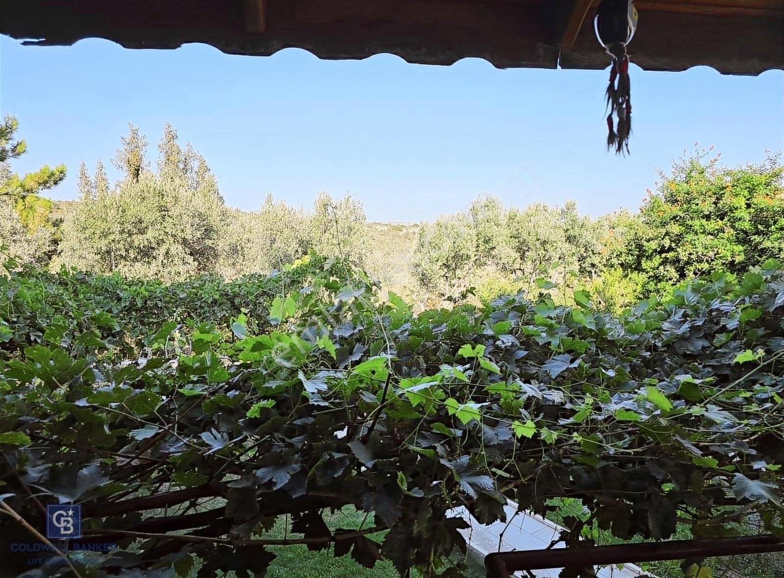 Çeşme Çiftlik Doruk Sitesinde Satılık Trıpleks 4+1 Villa - Görsel 35