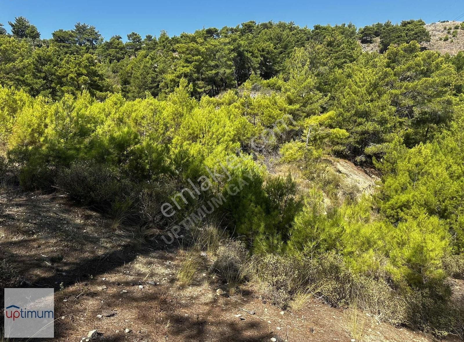 Manavgat Uzunlar'da, Akseki Yoluna 1.parsel Yatırım Fırsatı - Görsel 2