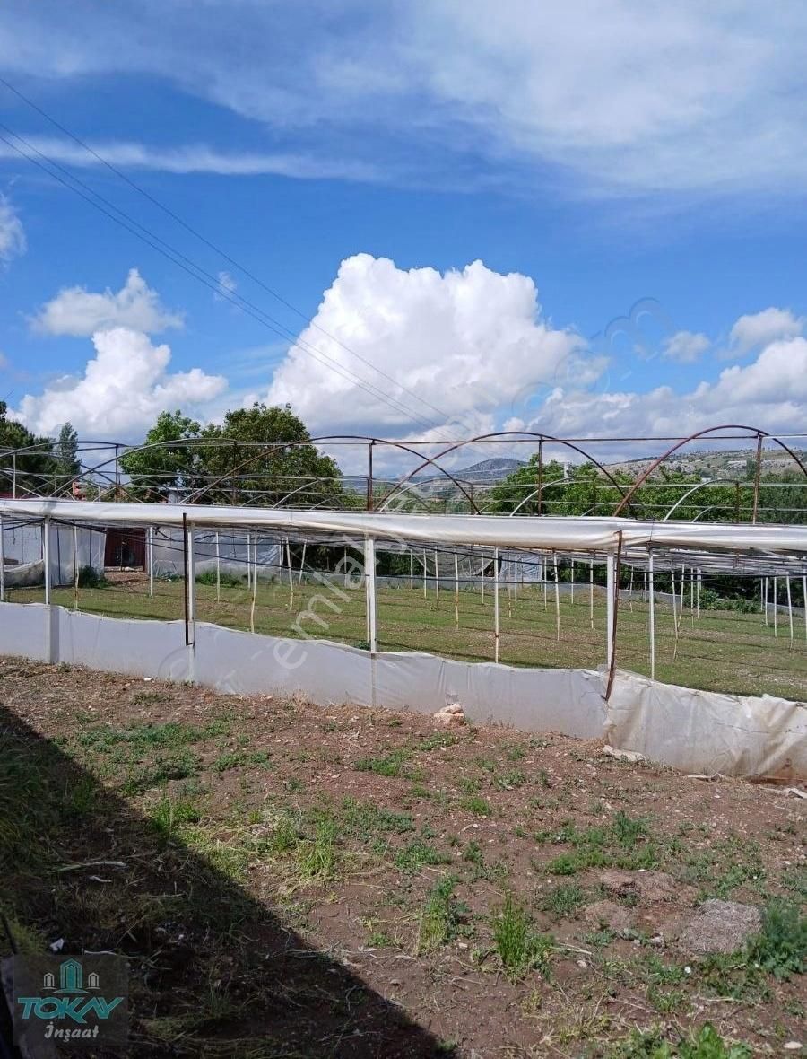 Korkuteli Kayabaş'ta Satılık Tarla İçerisinde Sera Ve Ev - Görsel 6
