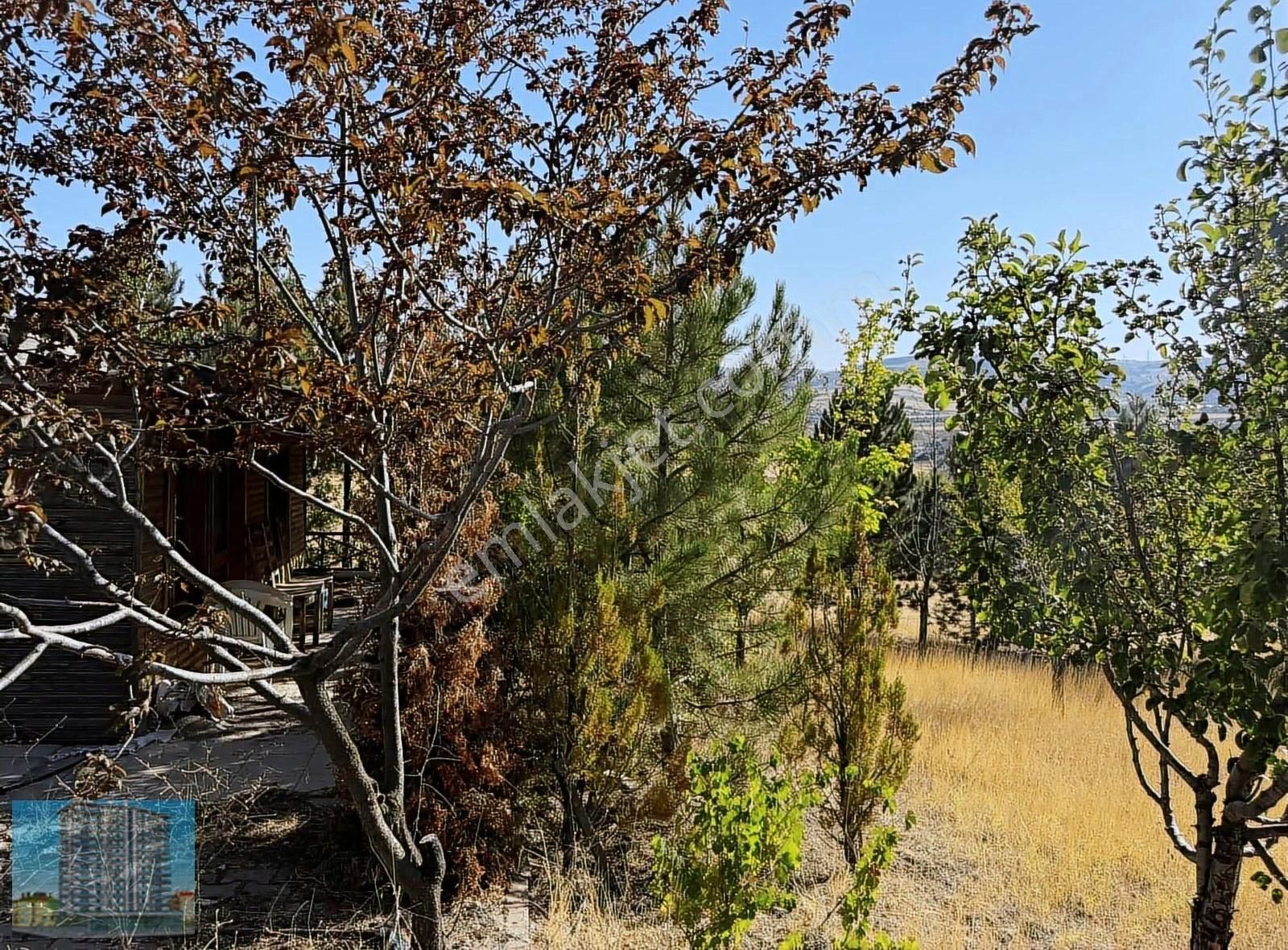 Evli İmarlı Müstakil Parsel Arsa - Görsel 11