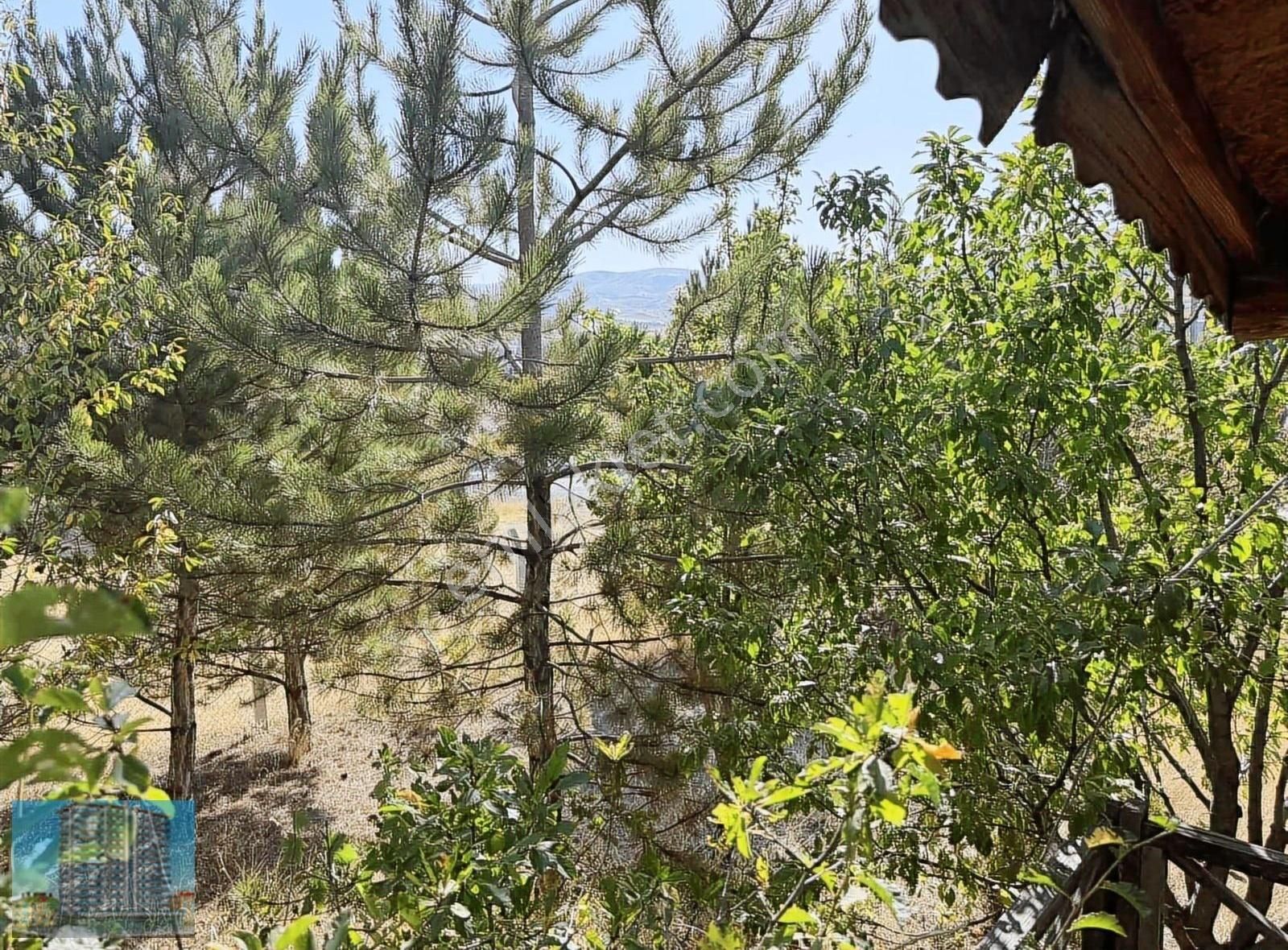 Evli İmarlı Müstakil Parsel Arsa - Görsel 4