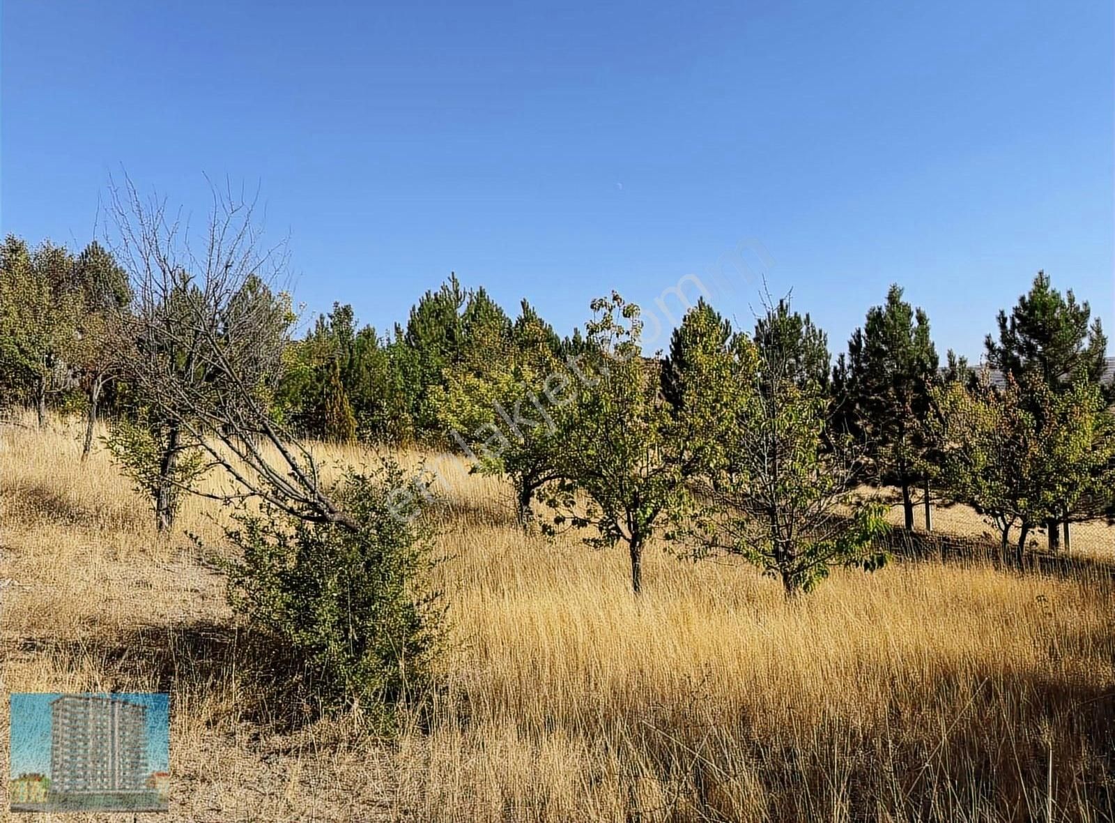 Evli İmarlı Müstakil Parsel Arsa - Görsel 12