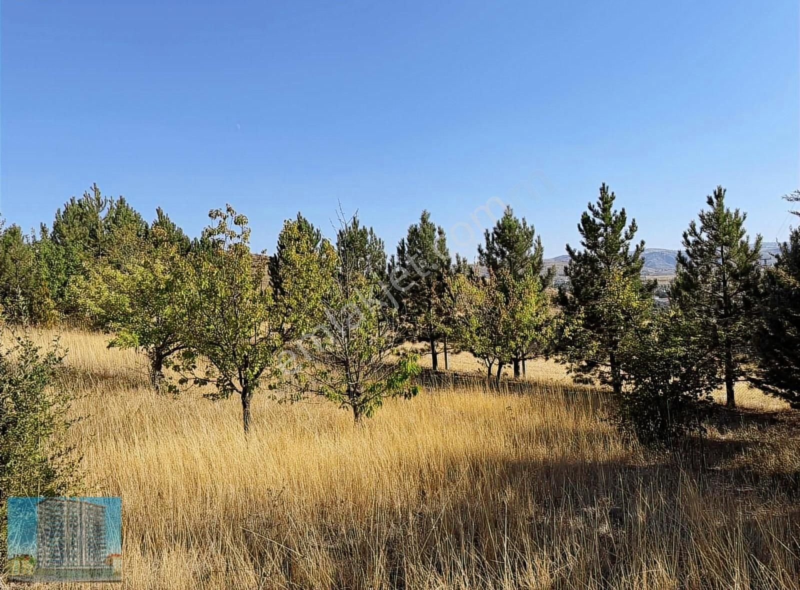 Evli İmarlı Müstakil Parsel Arsa - Görsel 23