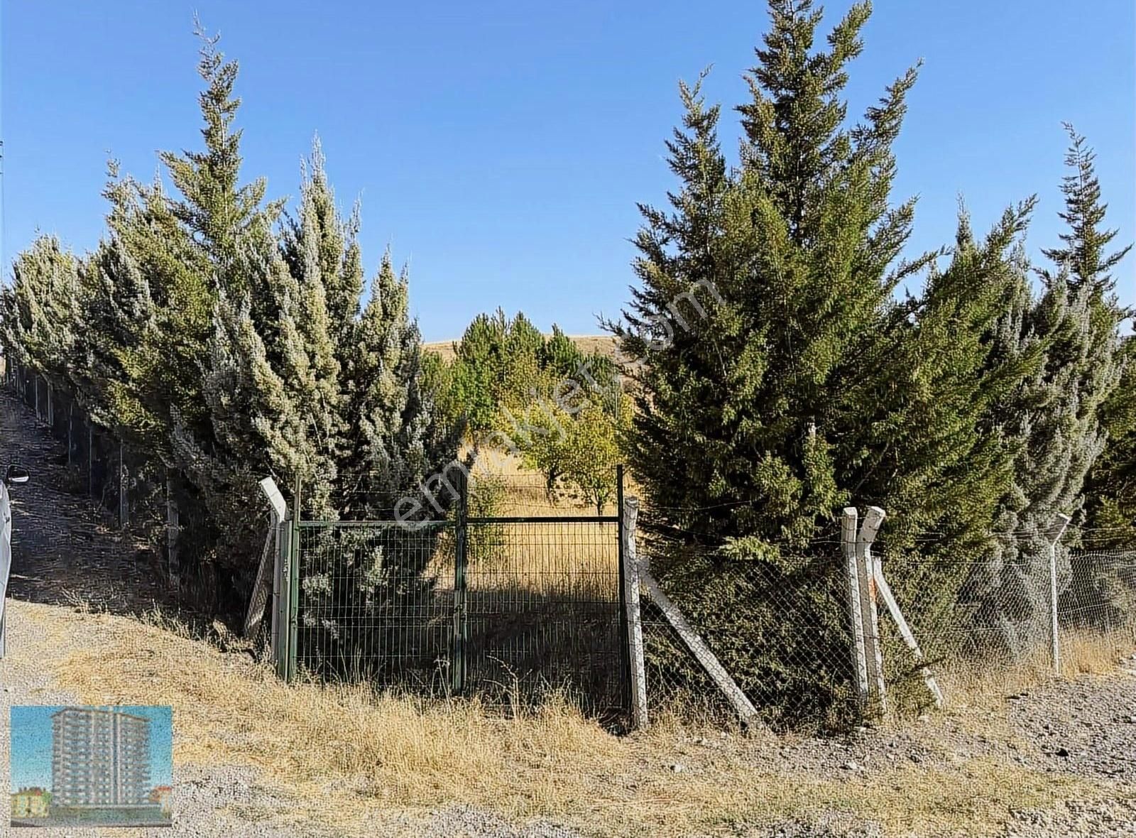 Evli İmarlı Müstakil Parsel Arsa - Görsel 9