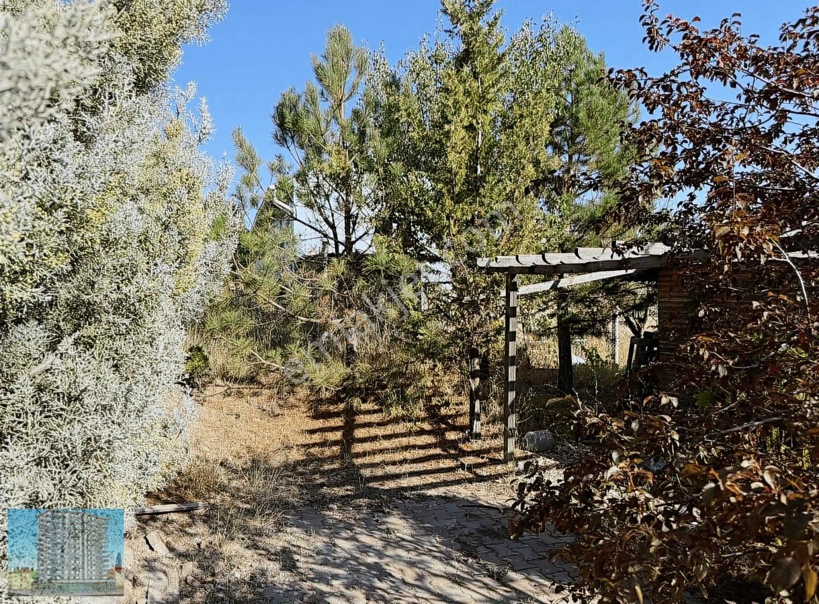 Evli İmarlı Müstakil Parsel Arsa