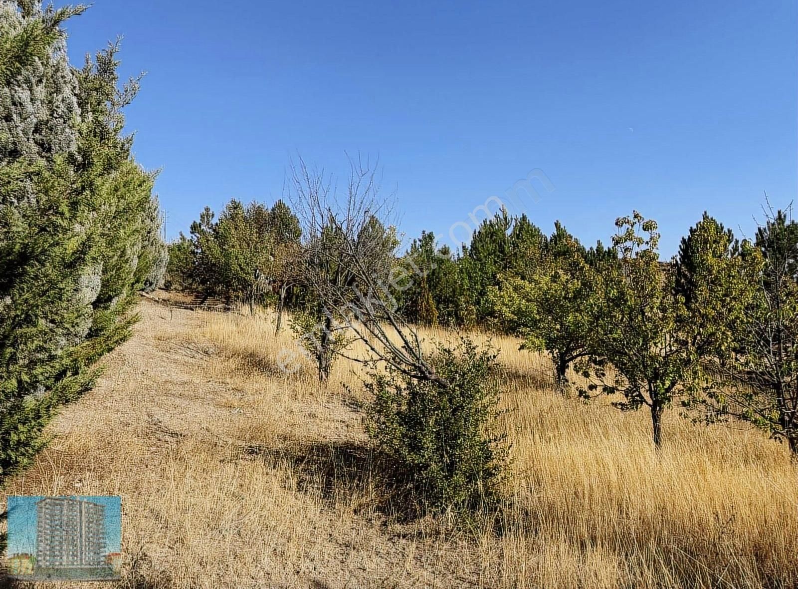 Evli İmarlı Müstakil Parsel Arsa - Görsel 22