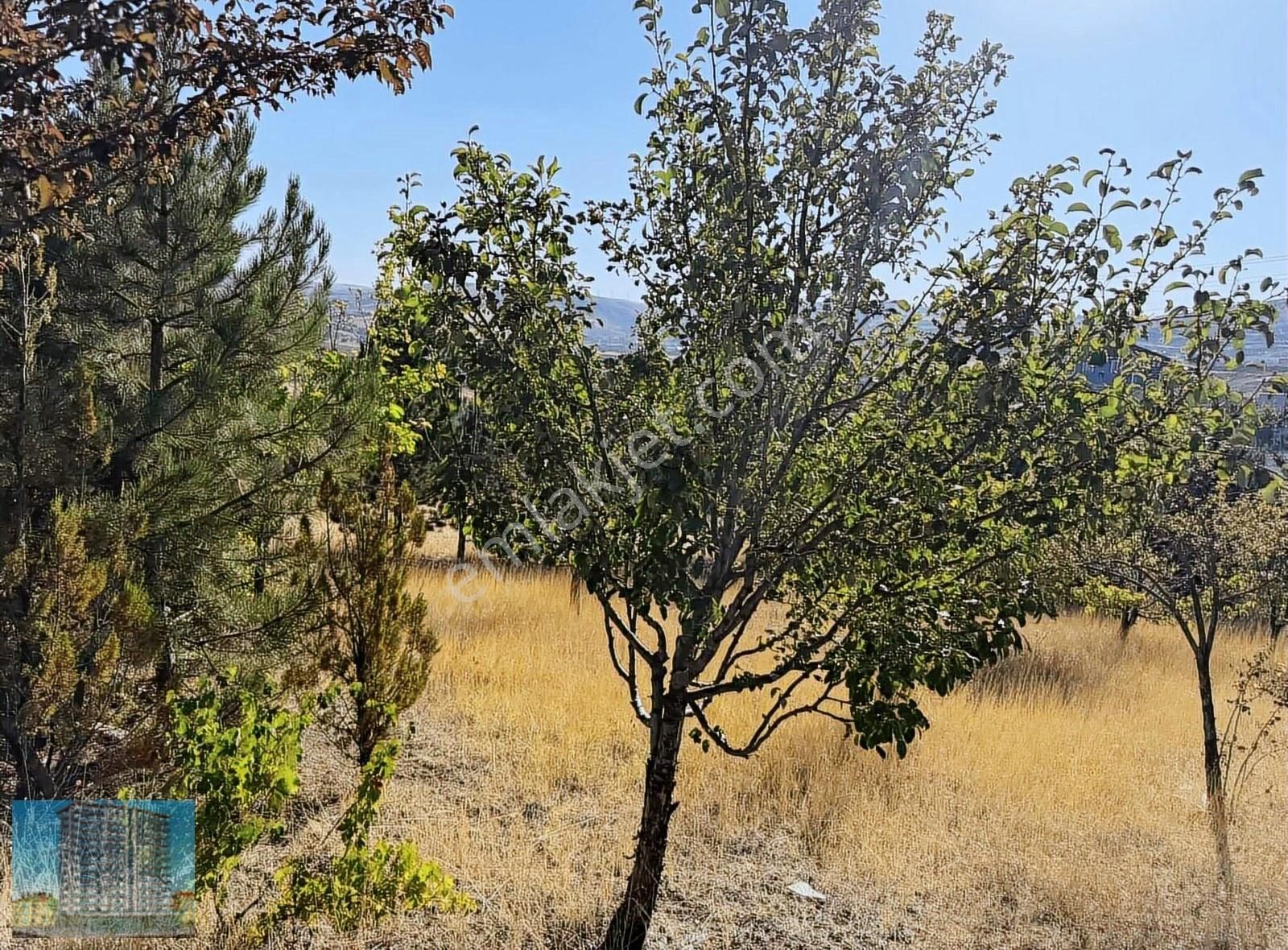 Evli İmarlı Müstakil Parsel Arsa - Görsel 16