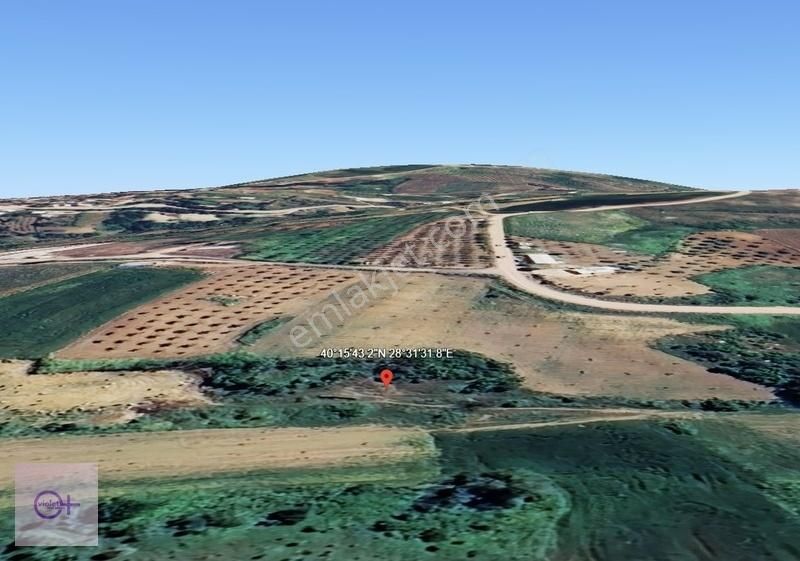 Violetten Satılık Tarla Subaşı Karacabey Bursa - Görsel 2