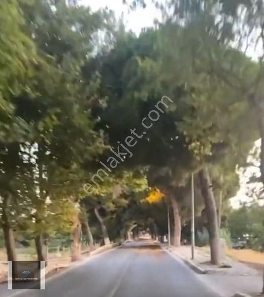 Urla İskele 4.844.m2 Ağaçlı Yolda 1/5000'likde Doğru Bir Yatırım - Görsel 3