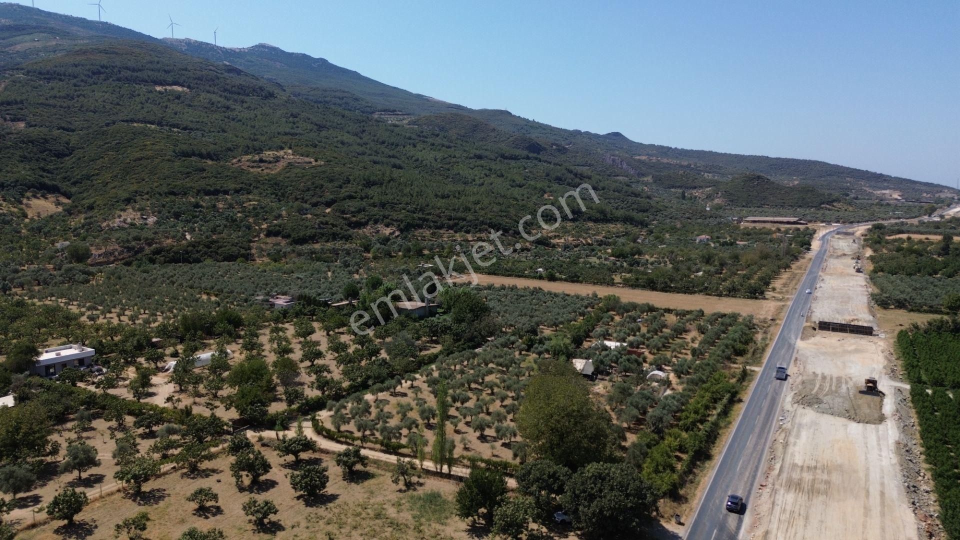 Tire – Selçuk Yolu Üzerinde Fırsat Bahçe! - Görsel 4