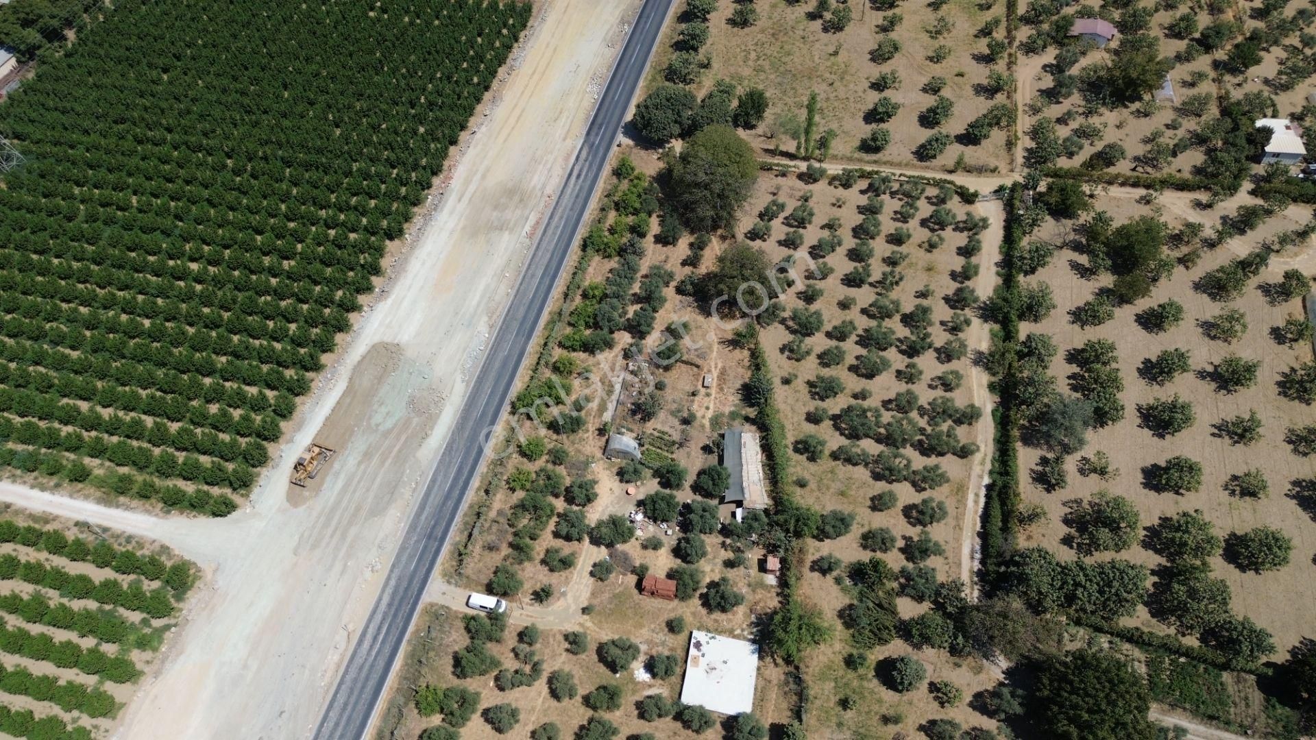 Tire – Selçuk Yolu Üzerinde Fırsat Bahçe! - Görsel 6