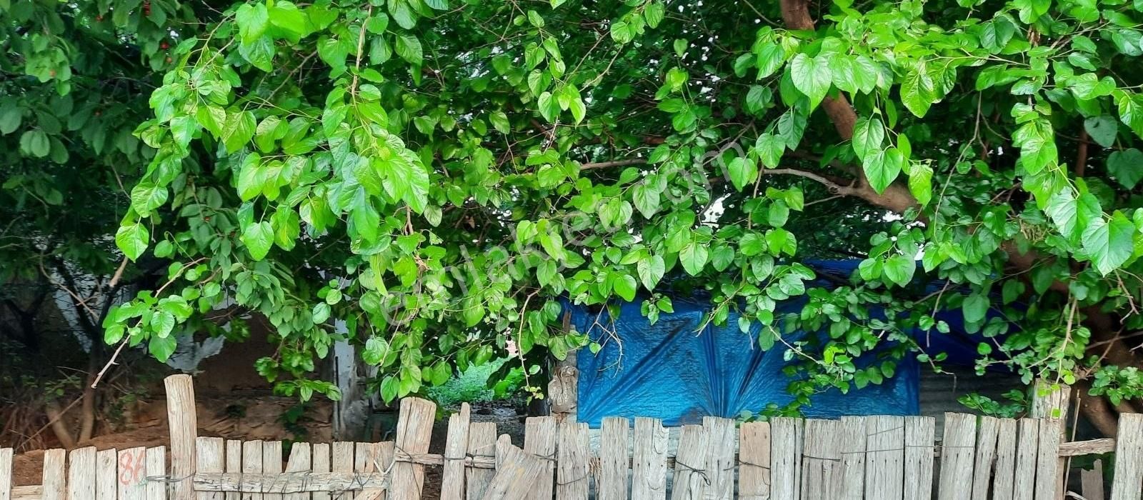 Karacabey Bayramdere Köyün'de Satılık 1200 M2 Arsa - Görsel 3