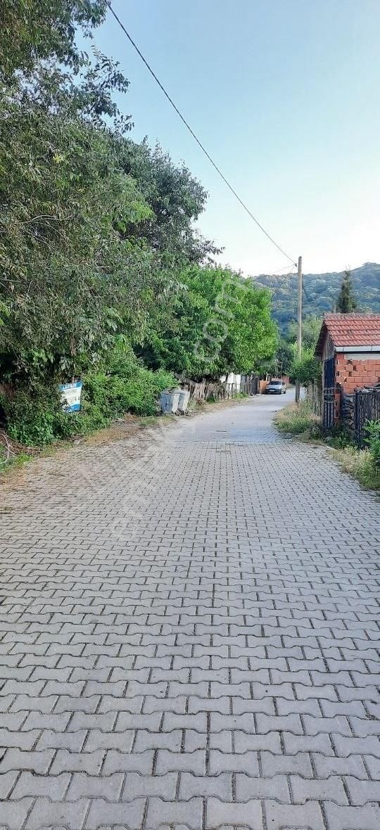 Karacabey Bayramdere Köyün'de Satılık 1200 M2 Arsa