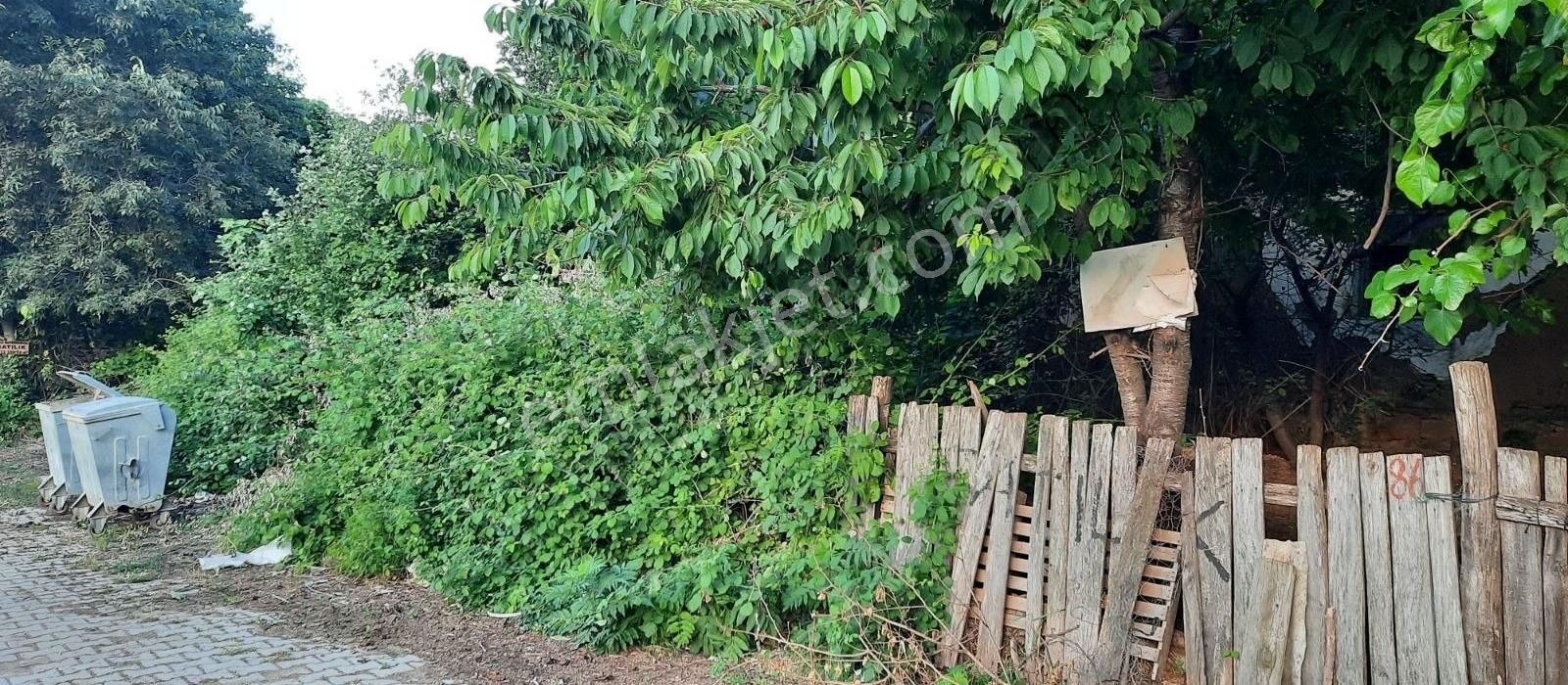 Karacabey Bayramdere Köyün'de Satılık 1200 M2 Arsa - Görsel 10