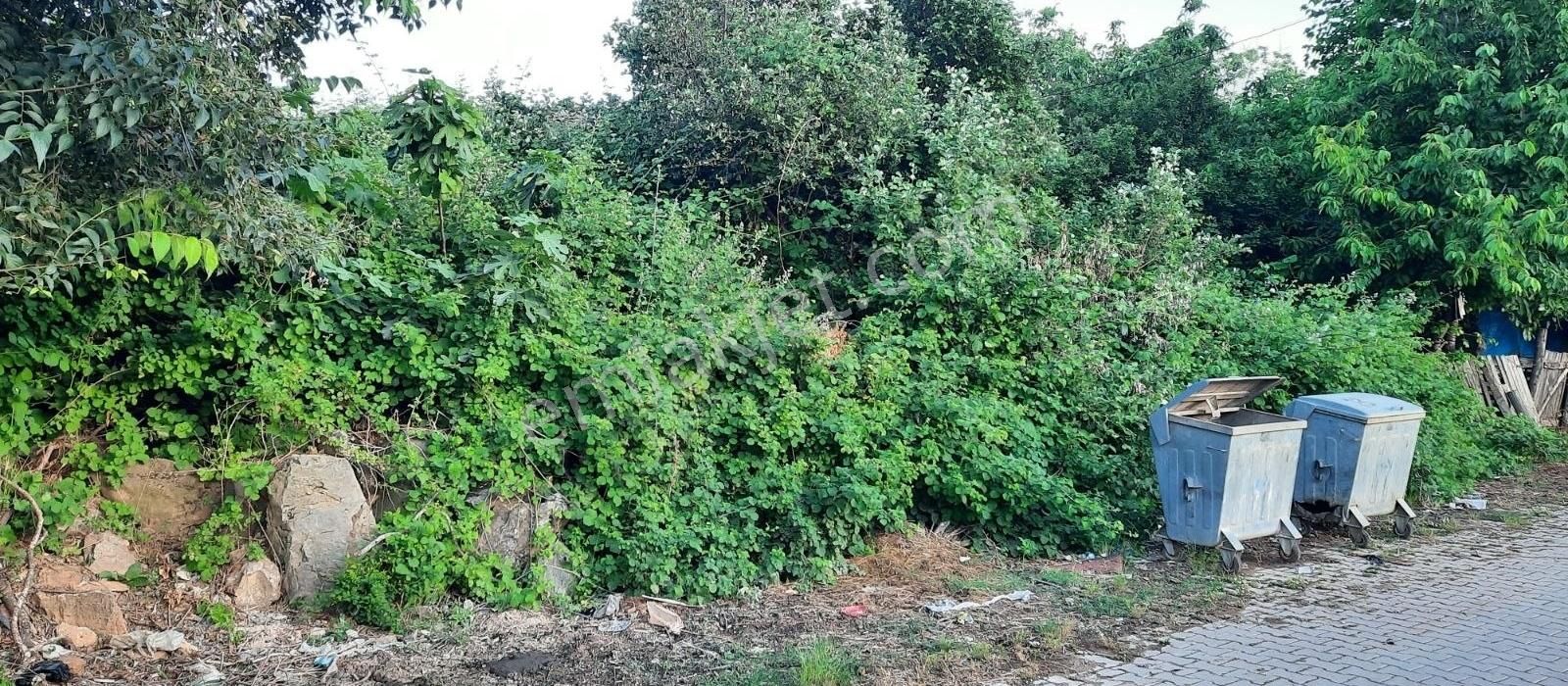 Karacabey Bayramdere Köyün'de Satılık 1200 M2 Arsa - Görsel 2