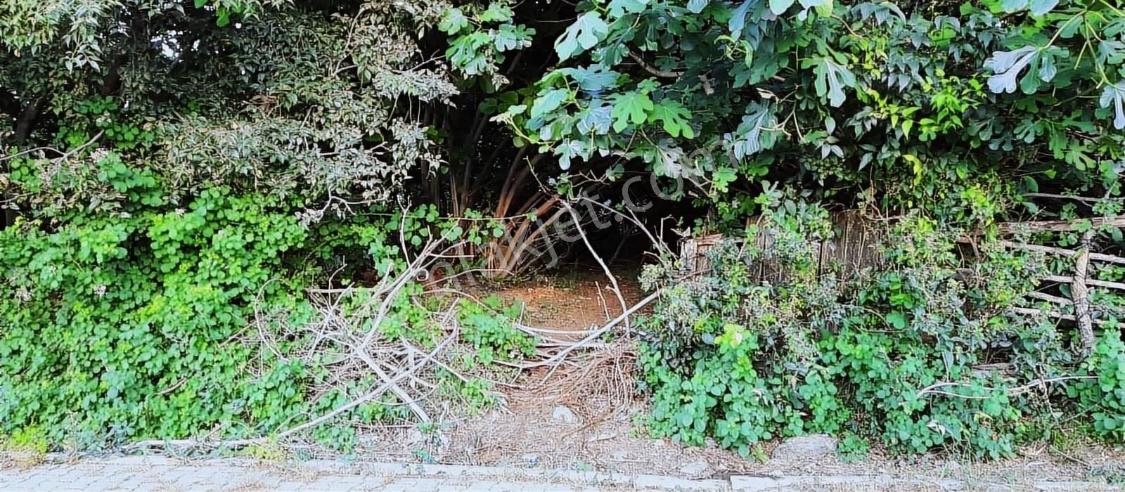 Karacabey Bayramdere Köyün'de Satılık 1200 M2 Arsa - Görsel 5