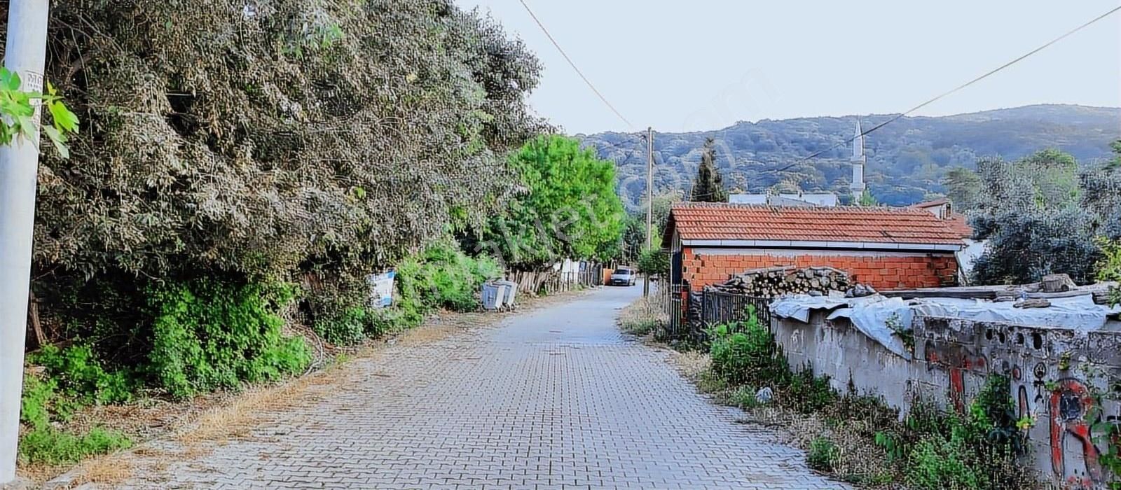 Karacabey Bayramdere Köyün'de Satılık 1200 M2 Arsa - Görsel 19