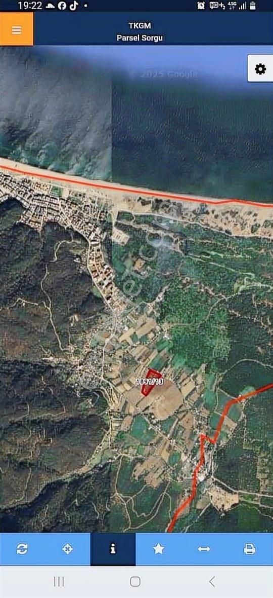 Karacabey Bayramdere'de Satılık 3092m² Hisseli Kivi Bahçesi - Görsel 5