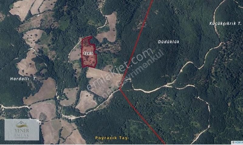 Çanakkale Yenice Taban Köyünde Kadastro Yolu Olan Satılık Tarla - Görsel 3