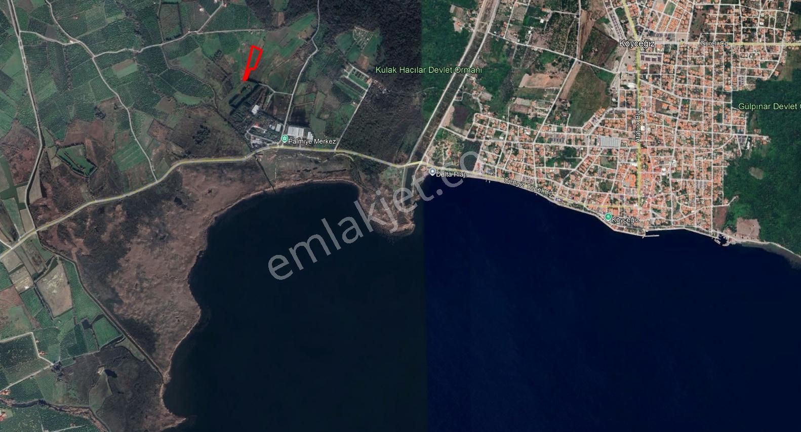 Köyceğiz Toparlar Da Dost Emlaktan 7576 M² Satılık Tarla