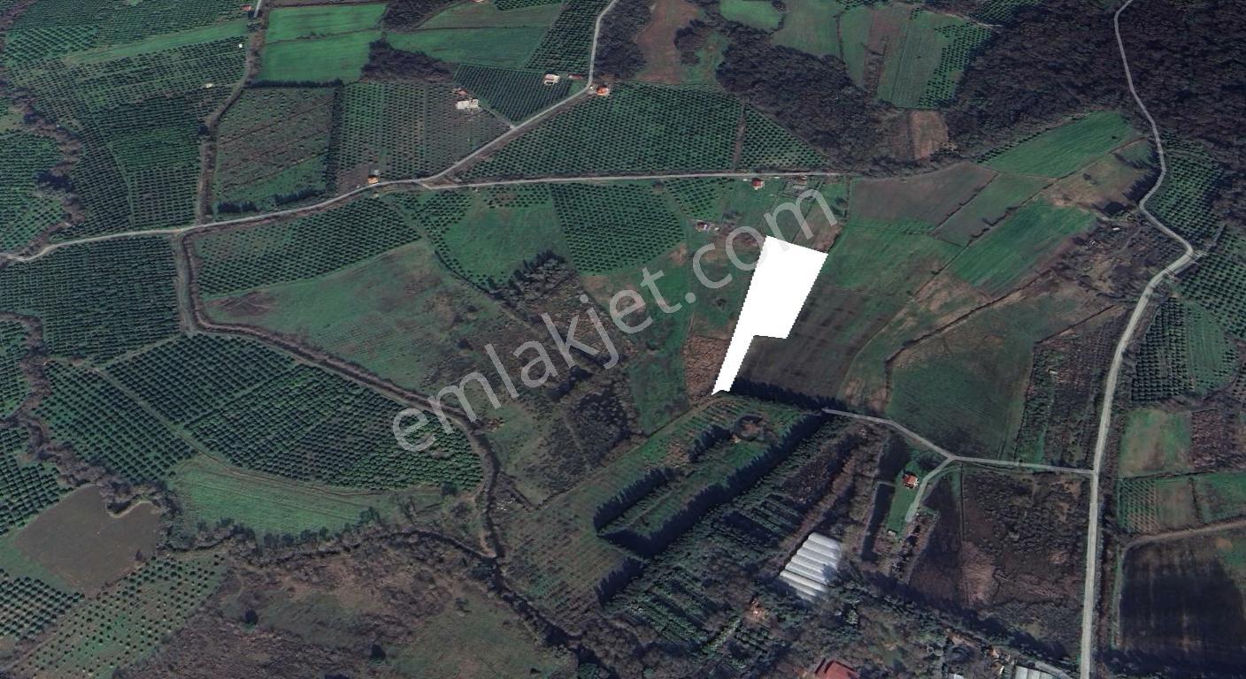 Köyceğiz Toparlar Da Dost Emlaktan 7576 M² Satılık Tarla - Görsel 5
