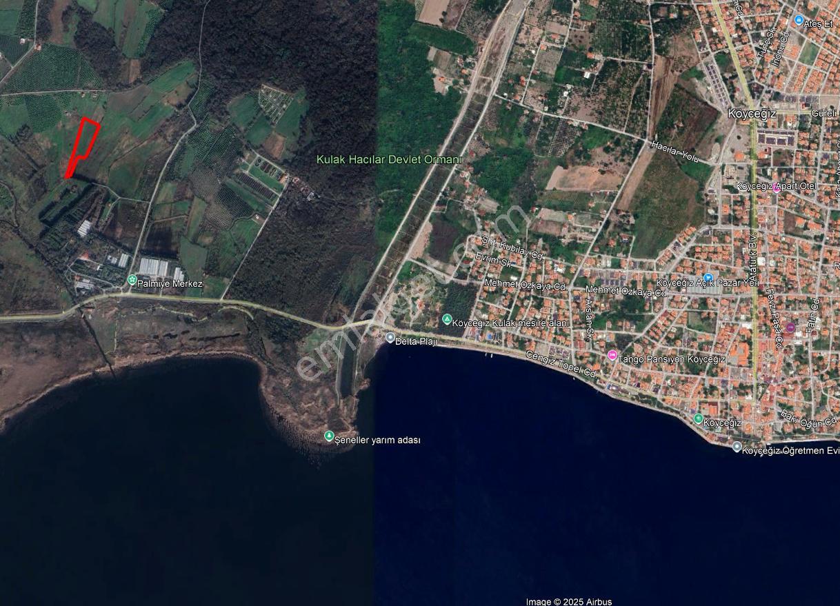 Köyceğiz Toparlar Da Dost Emlaktan 7576 M² Satılık Tarla - Görsel 2