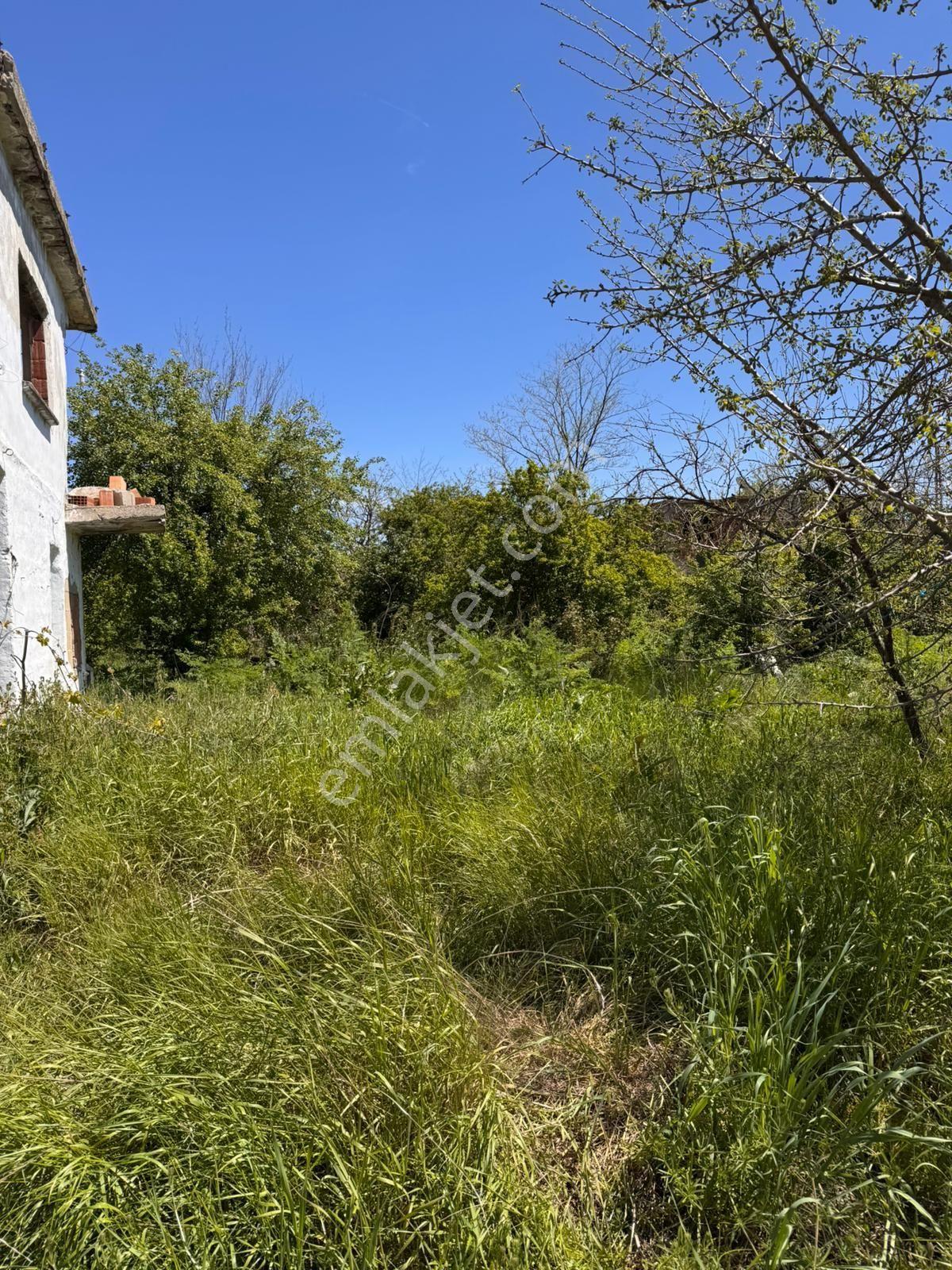 Muratlı Kırkepenekli Köy Merkezinde İmarlı 660 M² Arsa Konut İmarlı Yatırımlık Arsa Alt Yapı Hazır - Görsel 4