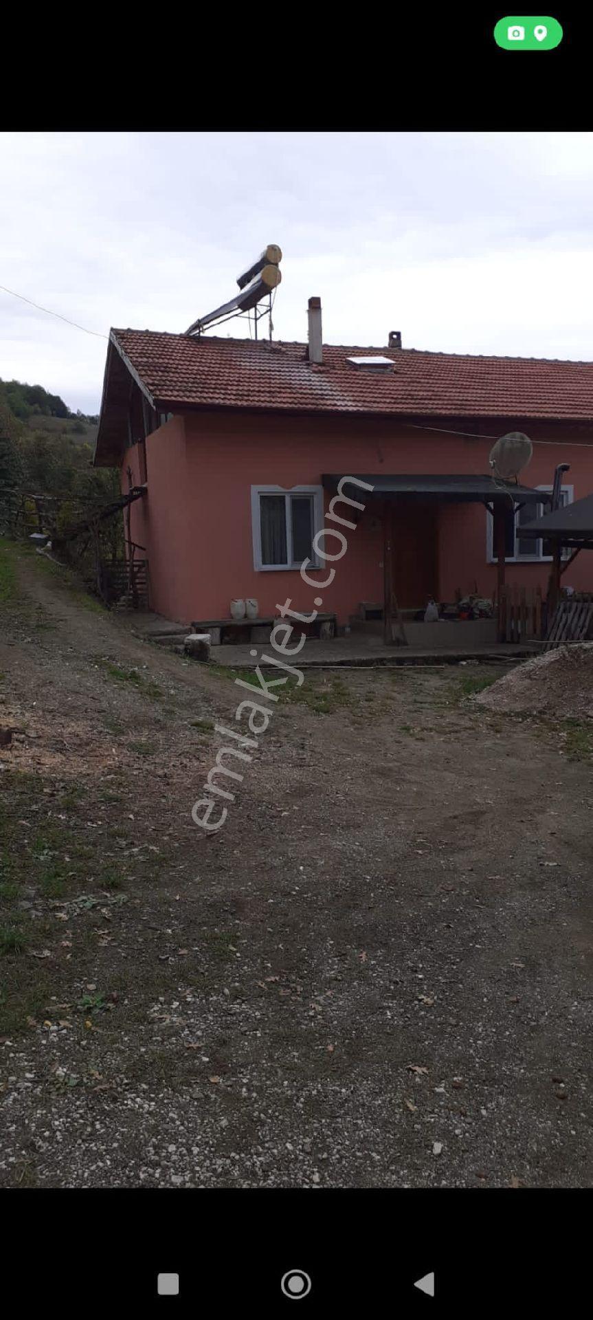 Taşova'da Satılık Tarla Ve Ev - Görsel 4