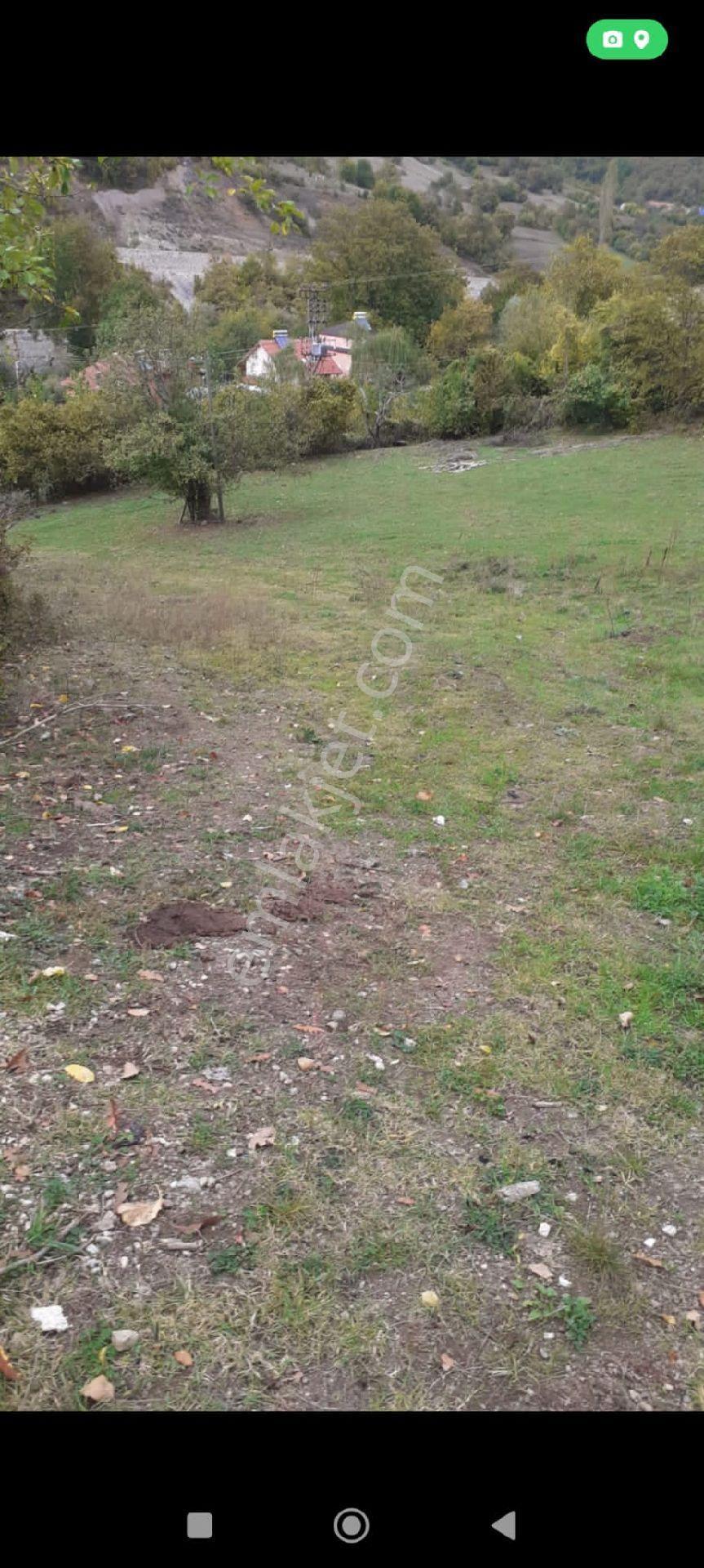 Taşova'da Satılık Tarla Ve Ev