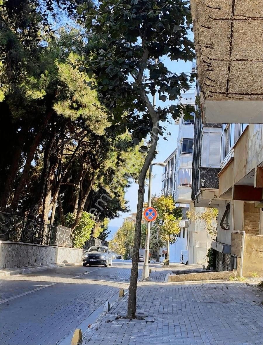 Bekara Öğrenciye Yabancıya Uygundur!