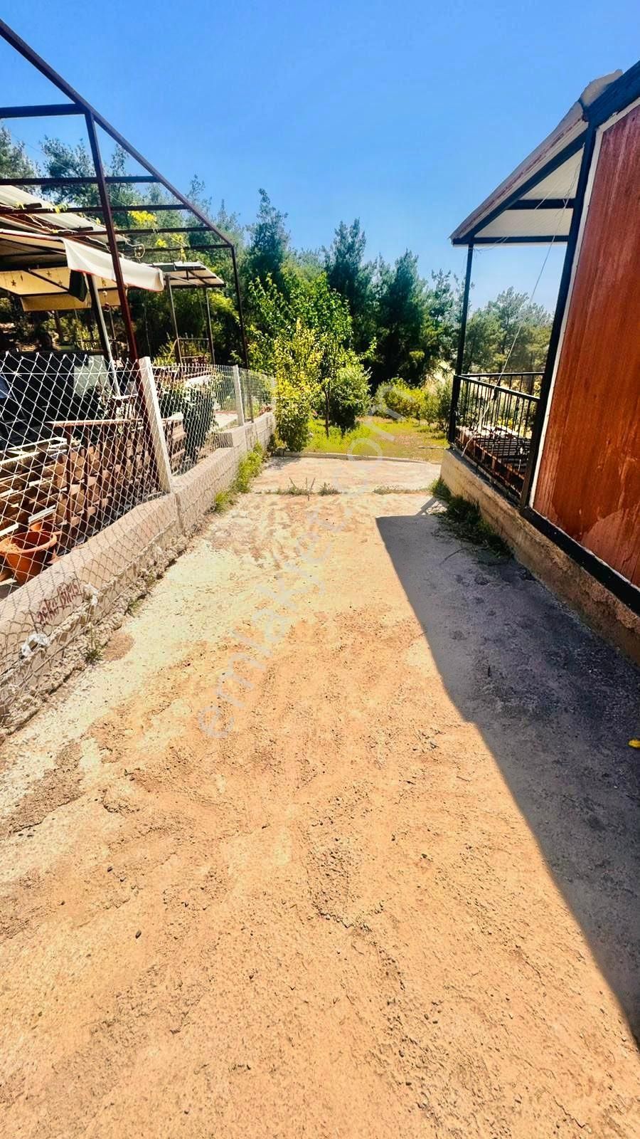 Karaisalıda Süper Hobi Bahçesi - Görsel 3