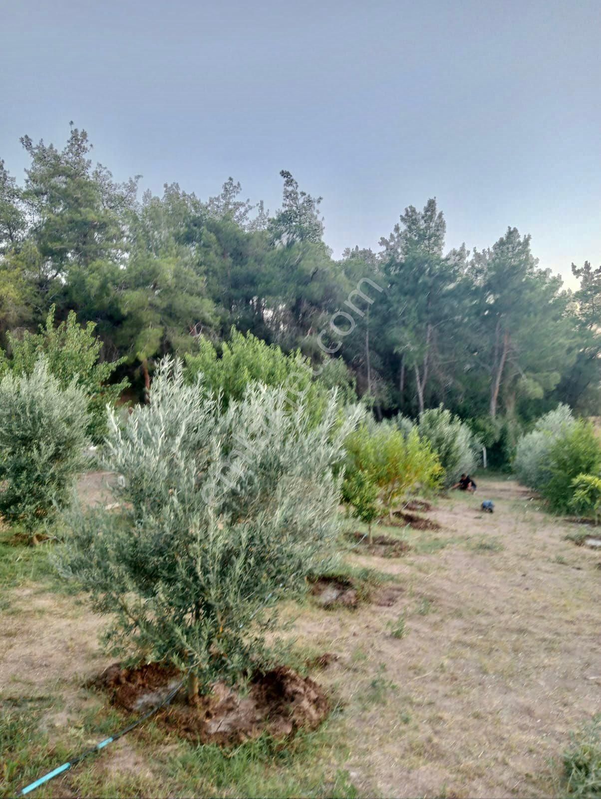 Karaisalıda Süper Hobi Bahçesi - Görsel 13