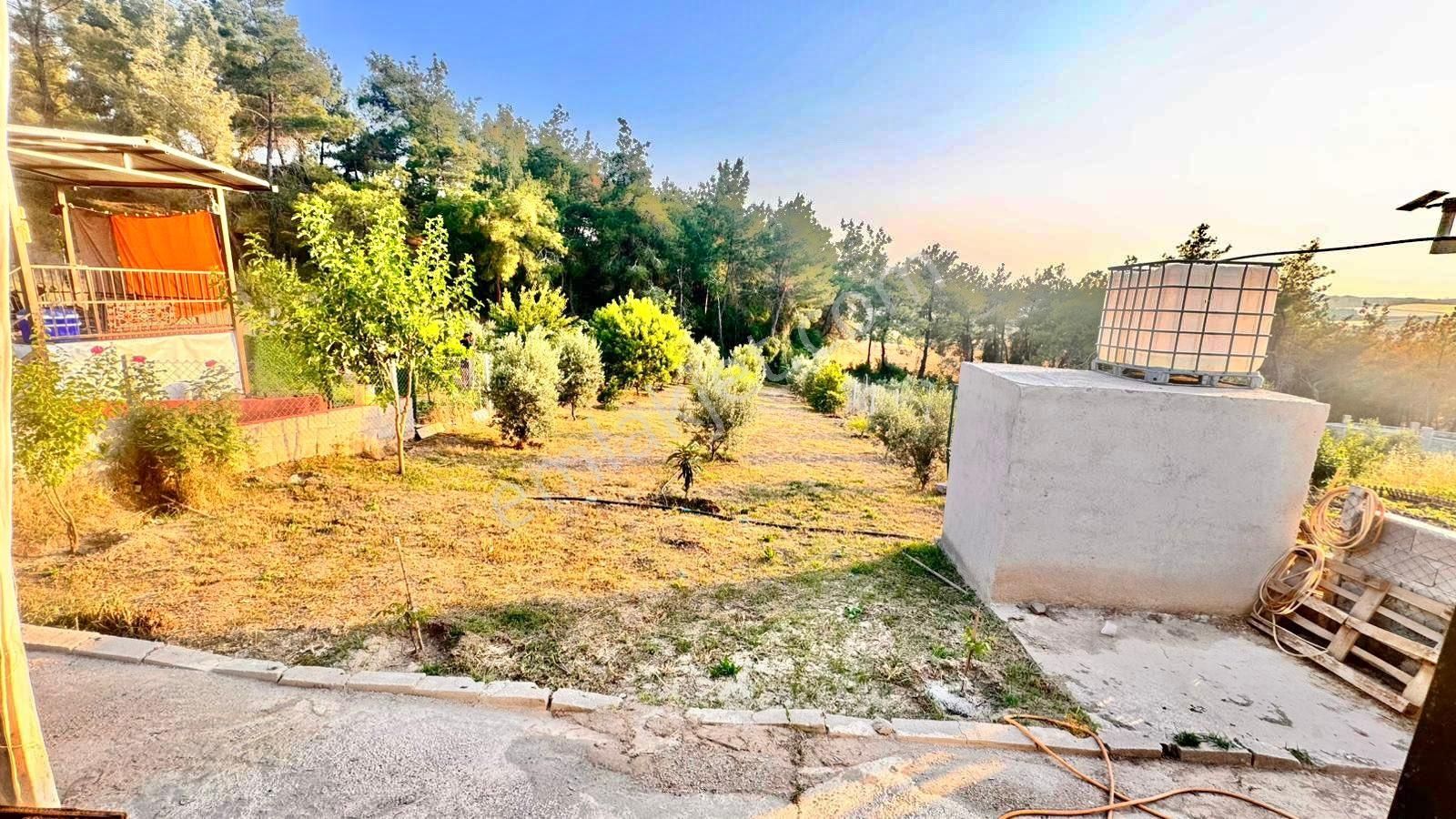 Karaisalıda Süper Hobi Bahçesi - Görsel 14